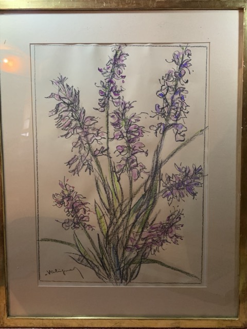 Valiquas ou validant, Fleur dessin