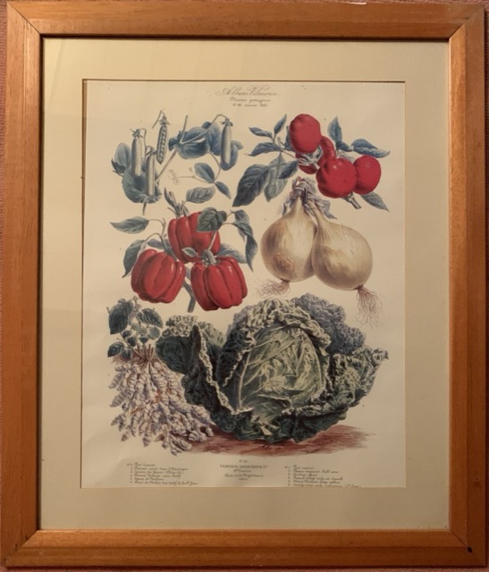 poivron/chou-fleur