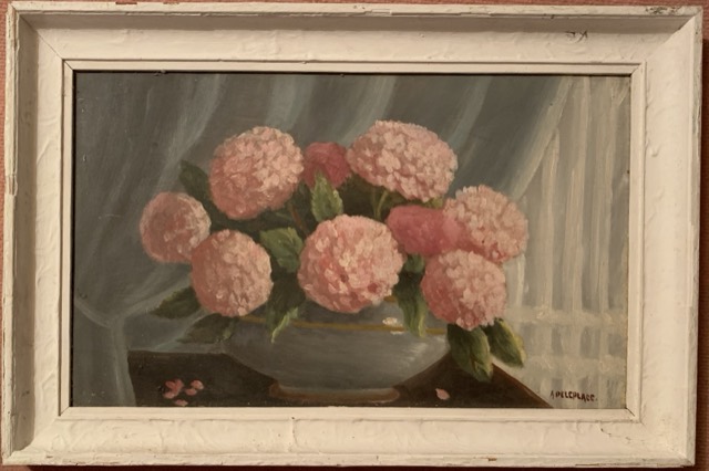 Apeleplace, Huile sur toile, hortansia rose
